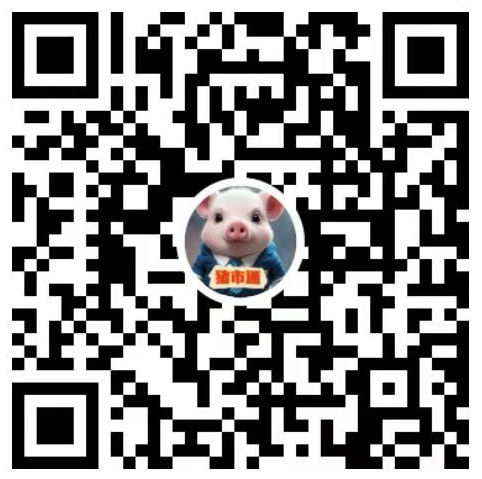猪市通视频号